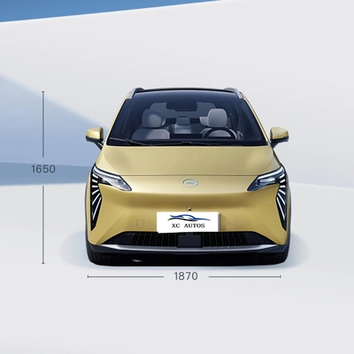 2023 Aion Y Series Electric Car 5 Door 5 Seat SUV с светодиодным фаром и 100% электрическим