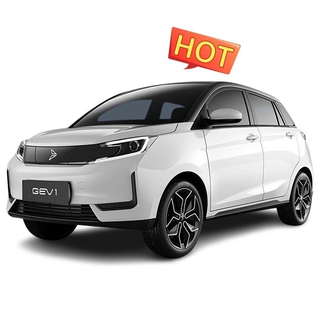Xinte 2020 Qi Neng GEV 1 Euro VI 305KM 5-дверный 4-местный хэтчбек с быстрой зарядкой